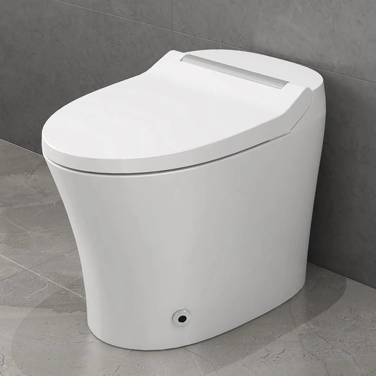 Smart toilet with Built in Heated Seat, One Elongated Toilet with Adjustable Temp Heated Seat, Auto Flush, Dual, Customized